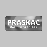 Praskac